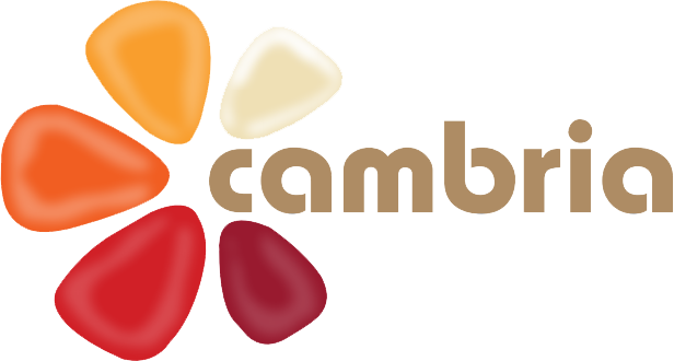 Logo Cambria Stopka